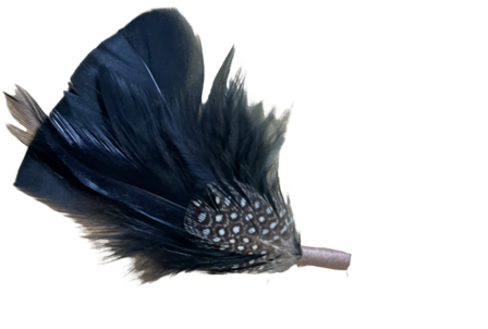 hoedenveren hat feathers black guineafowl
