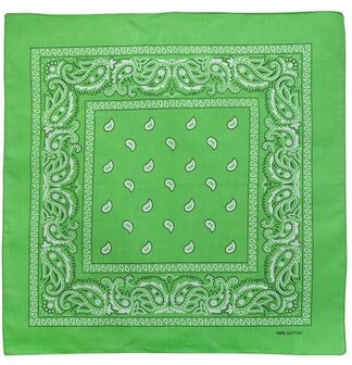 onkar bandana boeren zakdoek paisley licht groen