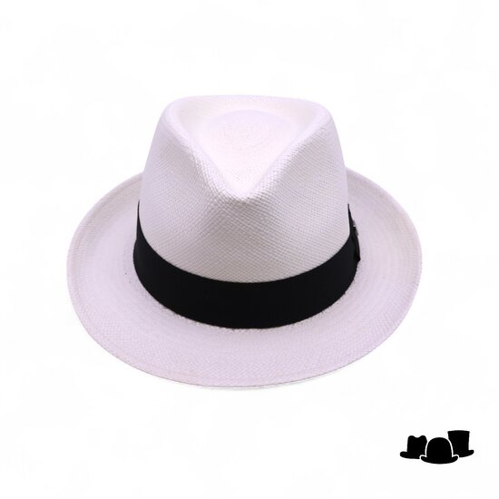 vintimilla new trilby panama wit