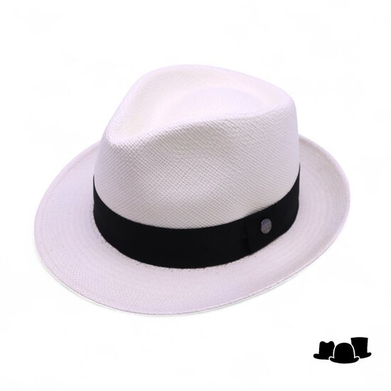 vintimilla new trilby panama wit