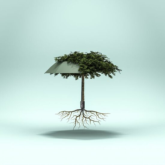 knirps paraplu vision duomatic root