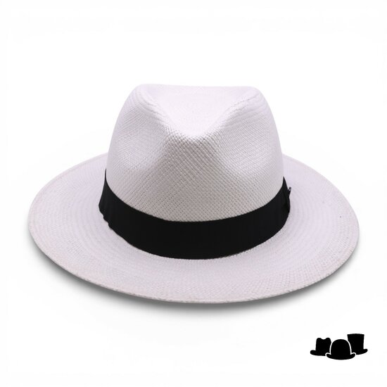 vintimilla fedora panama white