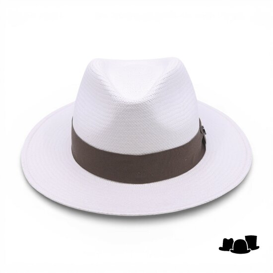 vintimilla fedora panama sydney cuenca white