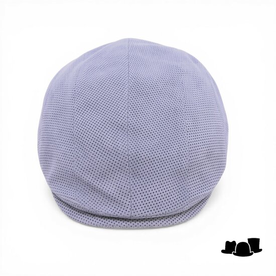 alfonso deste ivy pet jhon suede pinhole grijs blauw