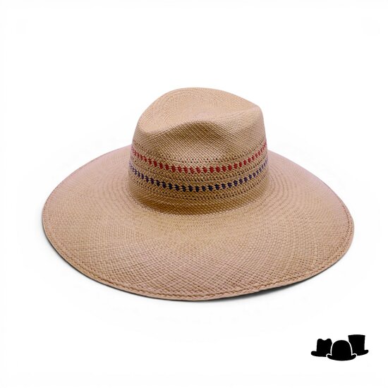 jos van dijck by tesi fedora pico pan tan