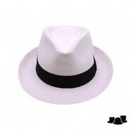 vintimilla new trilby panama wit