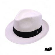vintimilla new trilby panama wit