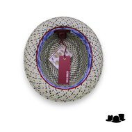 alfonso deste pork pie panama 2tone blauw en salie groen