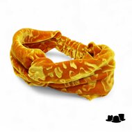 jos van dijck hoofdband velvet fiery gold