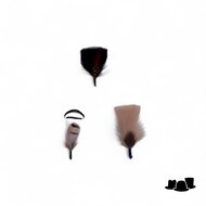 hoedenveren verenbundel wild pack