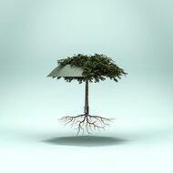 knirps paraplu vision duomatic root