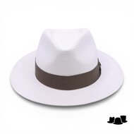 vintimilla fedora panama sydney cuenca white