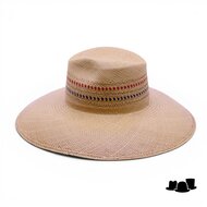 jos van dijck by tesi fedora pico pan tan