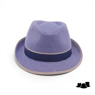 jos van dijck trilby linnenmix dessin blauw en beige