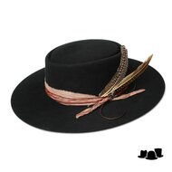 bailey western renegade painted sky wolvilt black