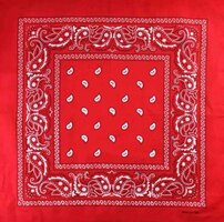 onkar bandana boeren zakdoek paisley rood