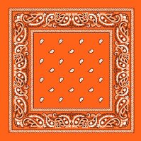 onkar bandana boeren zakdoek paisley oranje