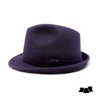 baldini alpen tichino viltenband blauw