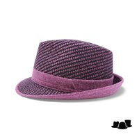 jos van dijck trilby tweed dessin raspberry and back