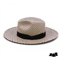 jos van dijck by tesi fedora pico brisa jervis