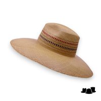 jos van dijck by tesi fedora pico pan tan