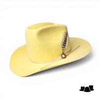 bailey western renehade flynn wolvilt yellow